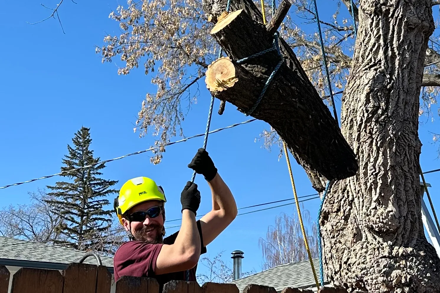 Me rigging down a section of tree trunk.